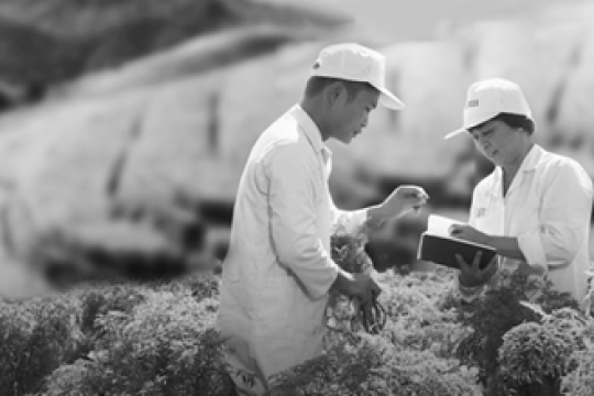 Cổ phiếu tiêu biểu năm 2018: Chi phí nguyên liệu đầu vào tăng khiến cổ phiếu TRA mất động lực tăng trưởng