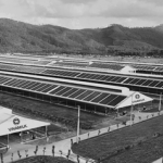 Cổ phiếu tiêu biểu năm 2021: Cổ phiếu VNM sụt giảm dưới áp lực tăng giá sữa nguyên liệu