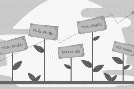 Năm 2020: Thực trạng việc định giá trái phiếu doanh nghiệp ở thị trường Việt Nam